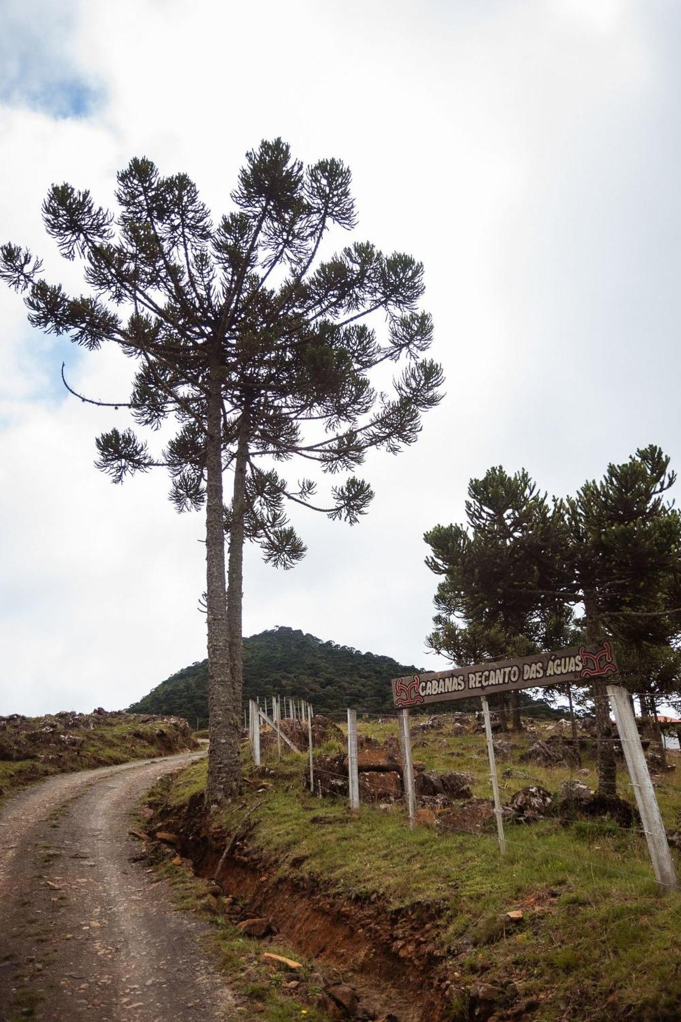 Recanto Das Aguas - Urubici - Sc Exterior foto